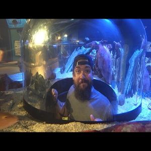 Meet your Posher, Brookes